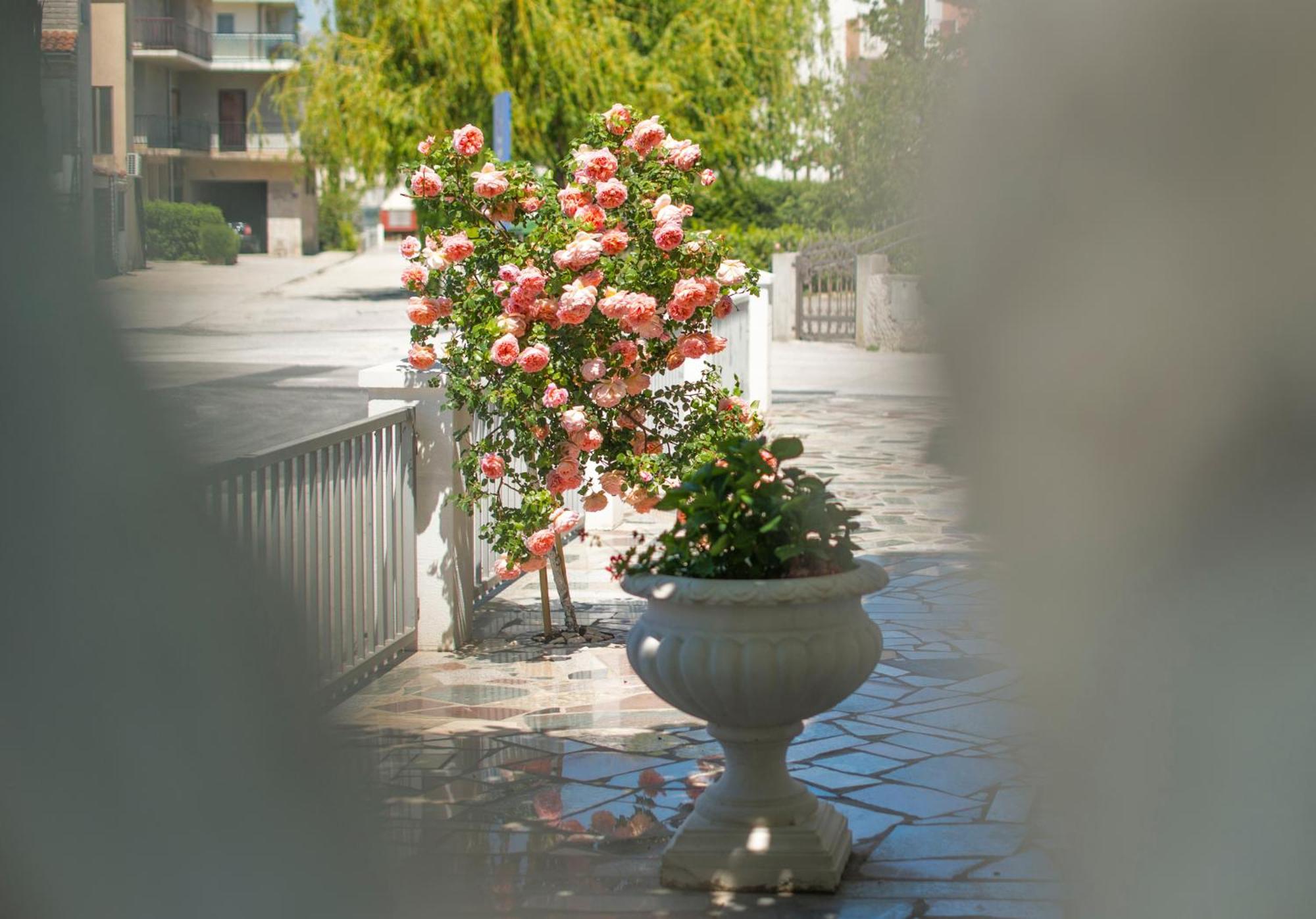 Apartments Nena Podstrana Dış mekan fotoğraf